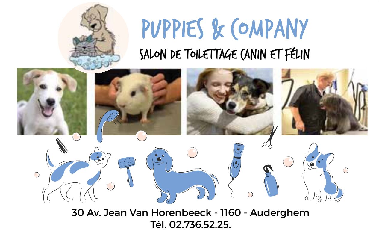 PUPPIES C